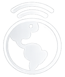 Web Screen